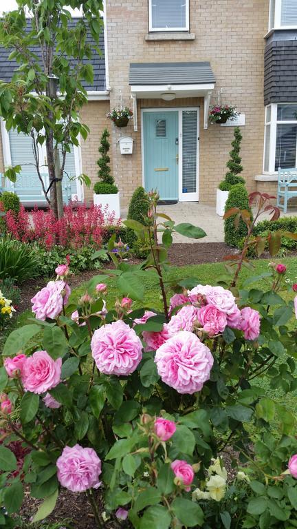 No.5 Bed & Breakfast Kilcullen Extérieur photo