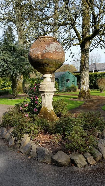 No.5 Bed & Breakfast Kilcullen Extérieur photo